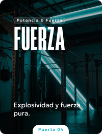 Fuerza
